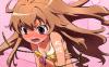 aisaka taiga-005