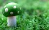 Mario-2009-12-016