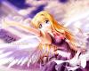 air-2009-12-004